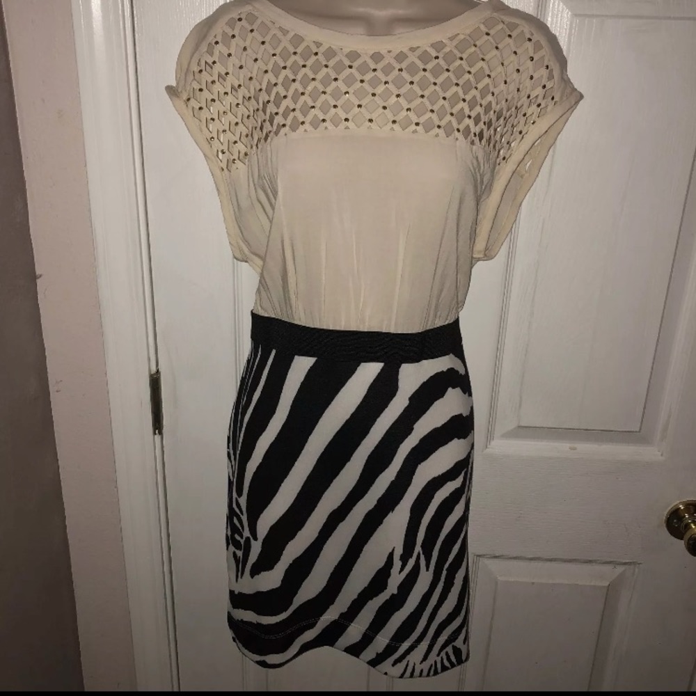 Free people zebra print dress